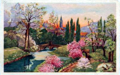 image11