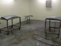 Image38_1