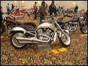 img_6148