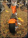 img_6178