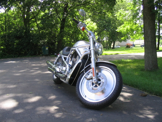 IMG_4382.JPG
