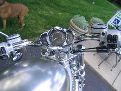 IMG_4387.JPG