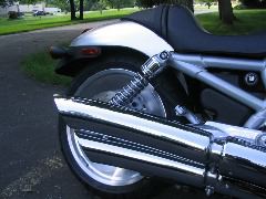 IMG_4389.JPG