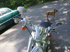 IMG_4390.JPG