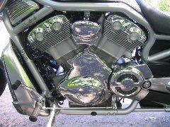 IMG_4391.JPG