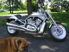 IMG_4398.JPG