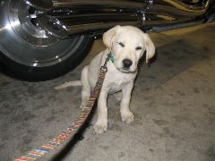 IMG_4443.JPG