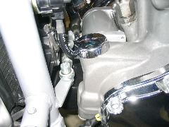 IMG_4453.JPG