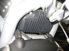 IMG_4491.JPG