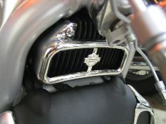 IMG_4494.JPG