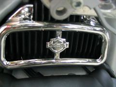 IMG_4495.JPG