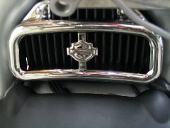 IMG_4499.JPG
