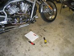 IMG_4542.JPG