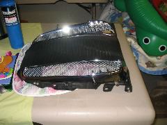 IMG_4558.JPG