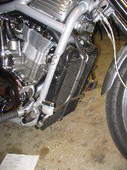 IMG_4544.JPG