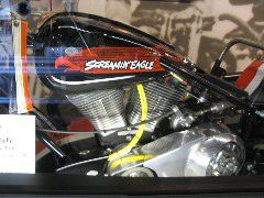 IMG_4713.JPG
