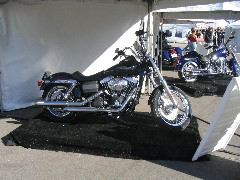 IMG_4719.JPG
