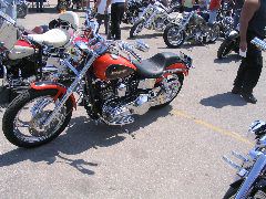 IMG_4748.JPG