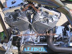 IMG_4761.JPG