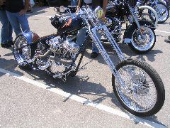 IMG_4778.JPG