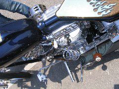 IMG_4783.JPG