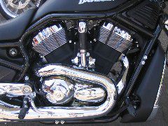 IMG_4792.JPG