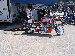 IMG_4803.JPG