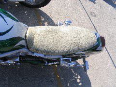 IMG_4821.JPG