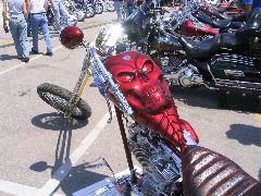 IMG_4743.JPG